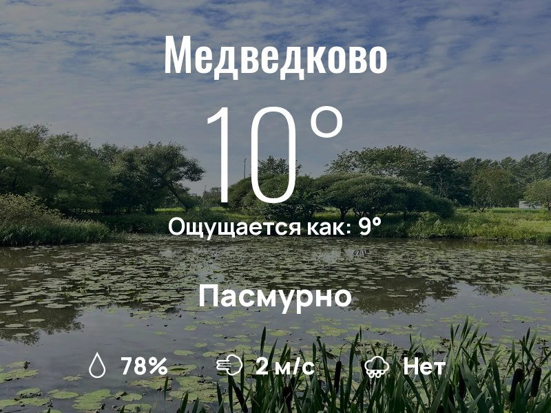 Что с погодой в Медведково?