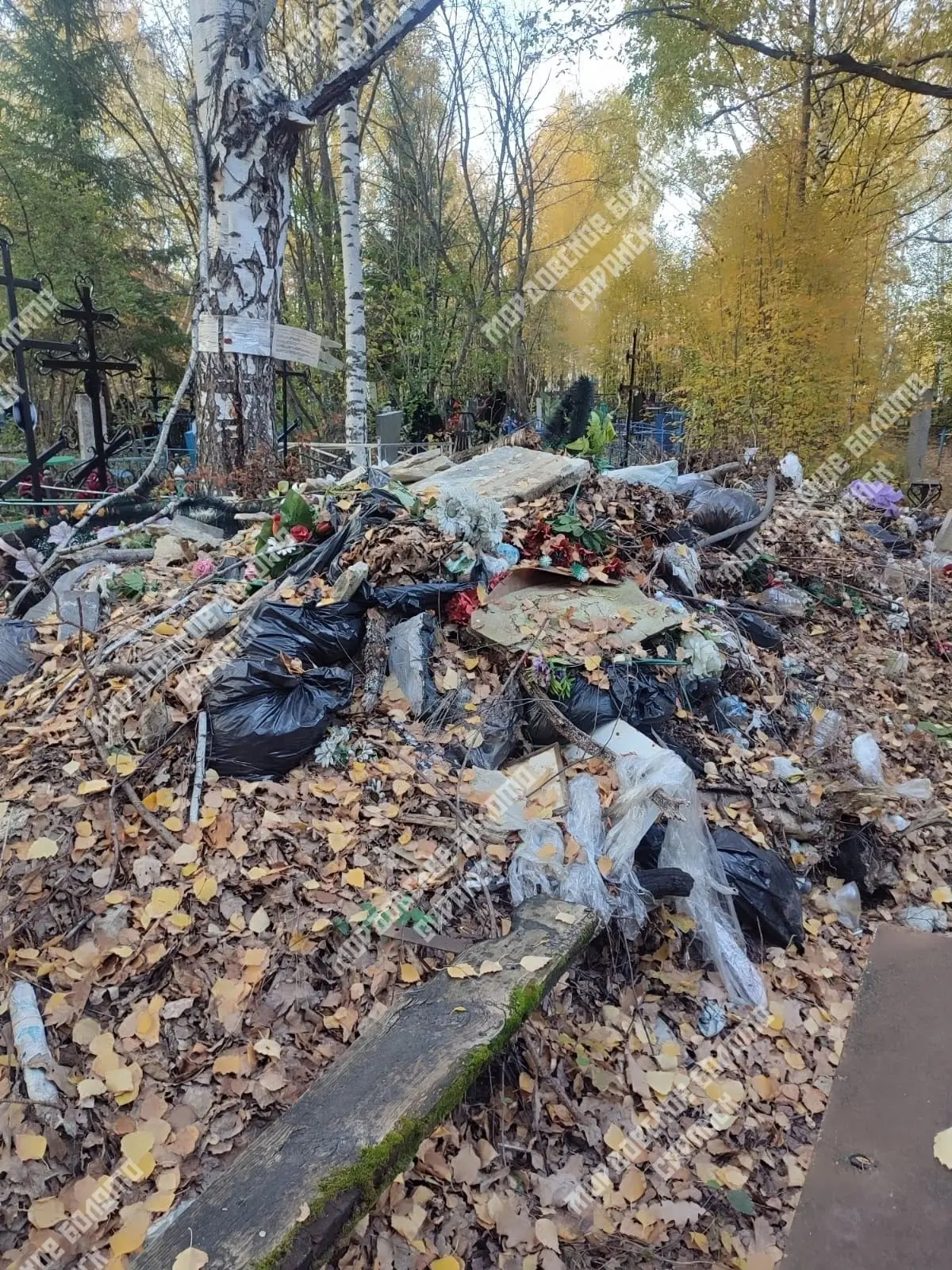 В Рузаевке на кладбище устроили свалку около магил. Работники бросают старые памятники,...