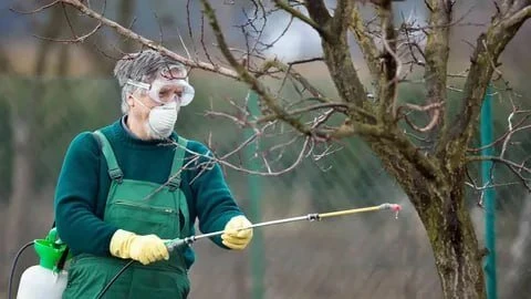 Осенняя обработка сада от болезней и вредителей 🍂🛡