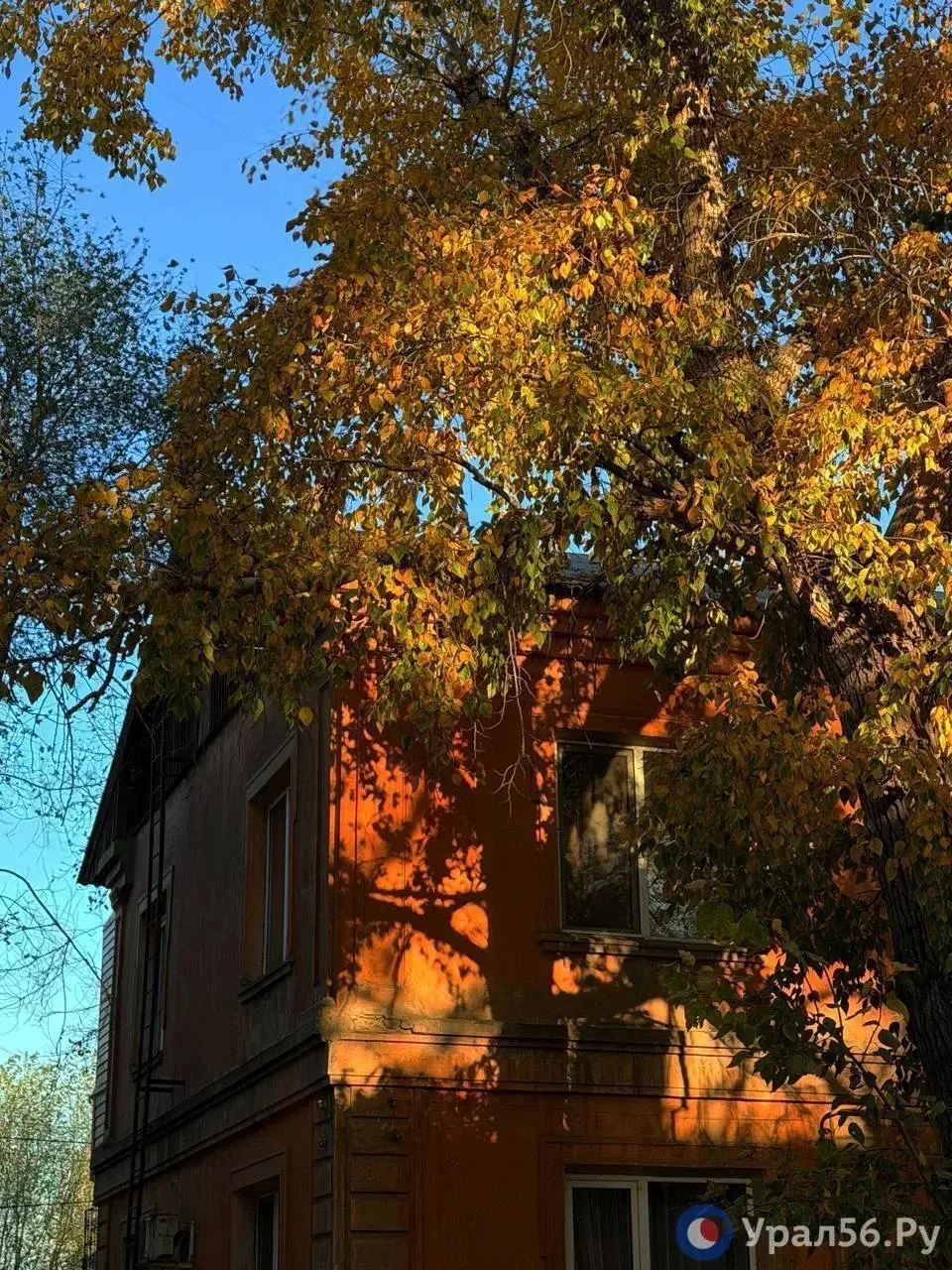 🍂 Осенний и солнечный Орск