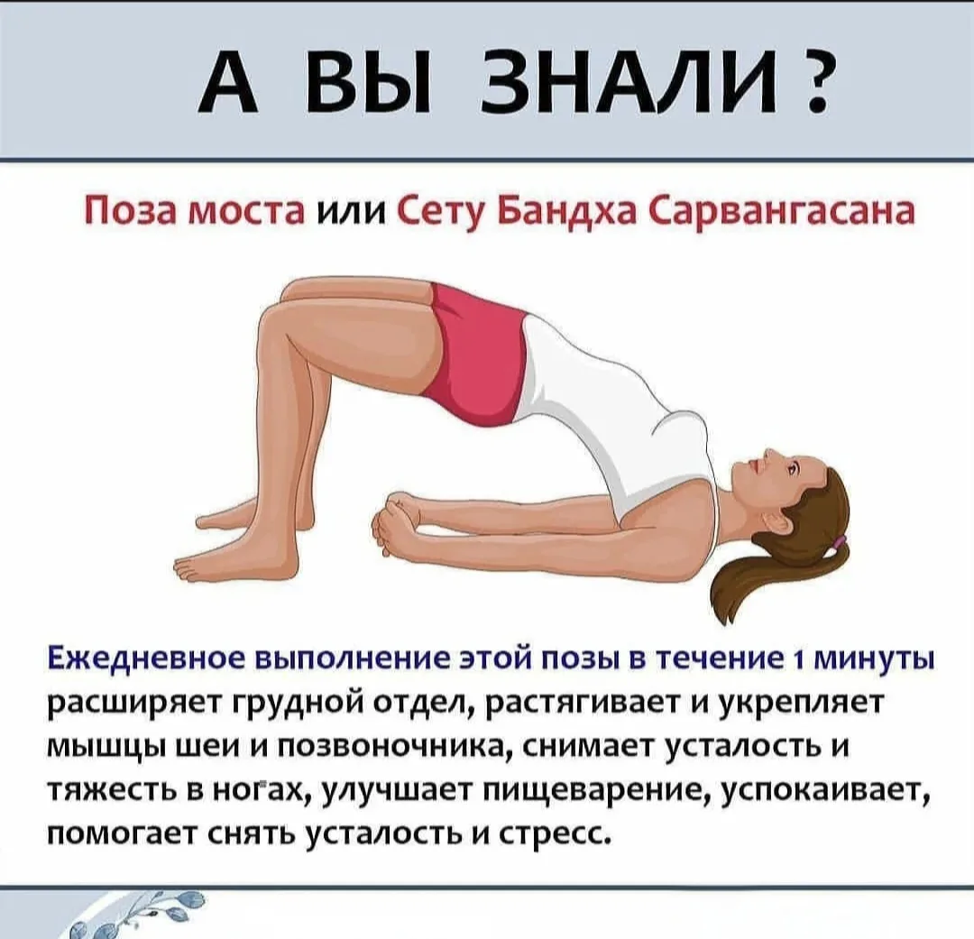 Рубрика: "Первые шаги в йоге"