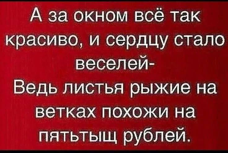 ВИШНЯ 🍒