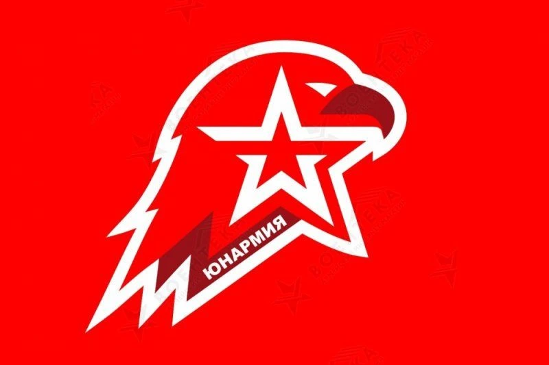 Волгоградская область борется за звание юнармейской столицы-2027. Голосование идёт прям...