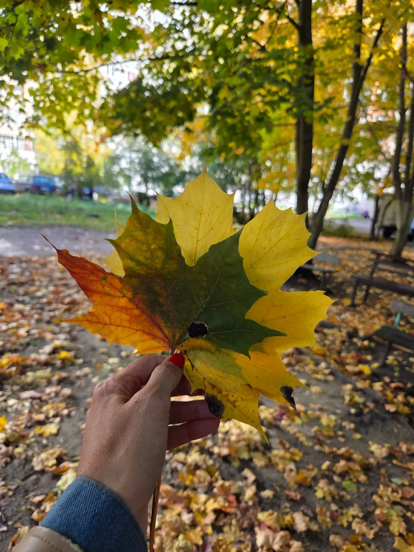 Доброе воскресное утро, пензенцы!🙂