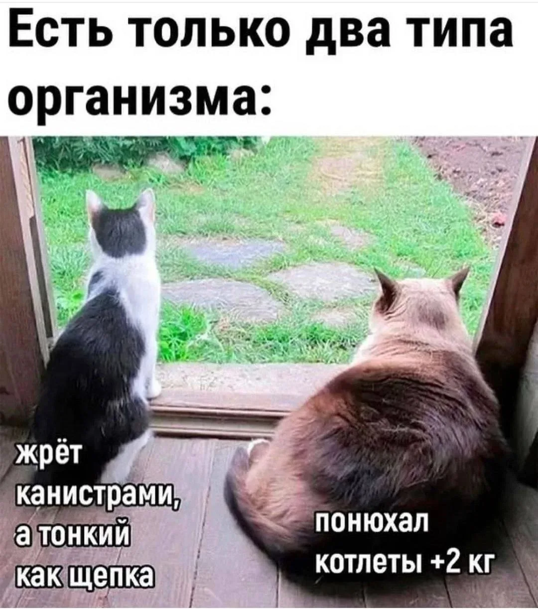 Понравился контент? Подпишись на наш второй канал MAXимально вкусно!