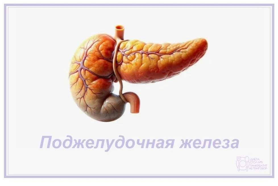 П᧐джᥱ᧘уд᧐чнᥲя жᥱ᧘ᥱɜᥲ.