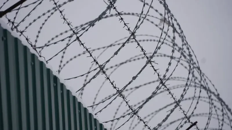 ⚖️ Жительница Муравленко получила полгода колонии