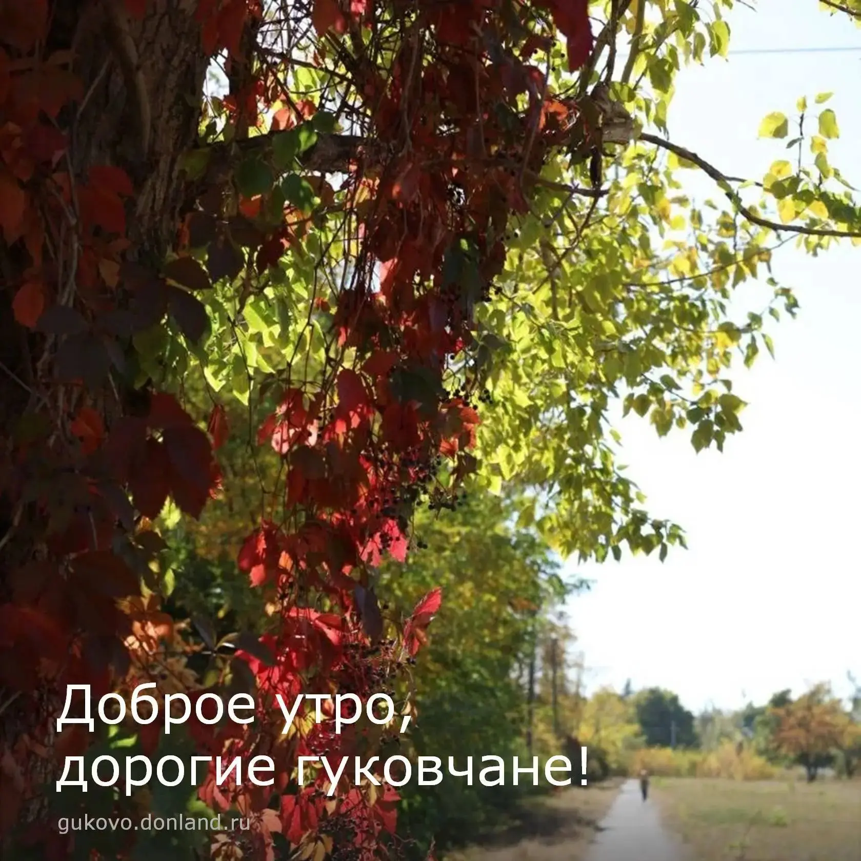 С добрым утром, гуковчане🍂