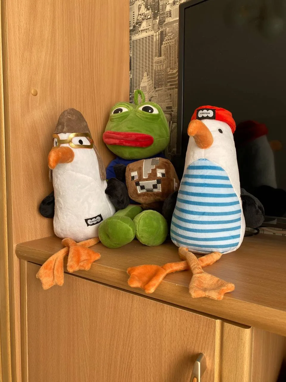 Скретчик и Фласка хорошо вписались в мой интерьер😹😹