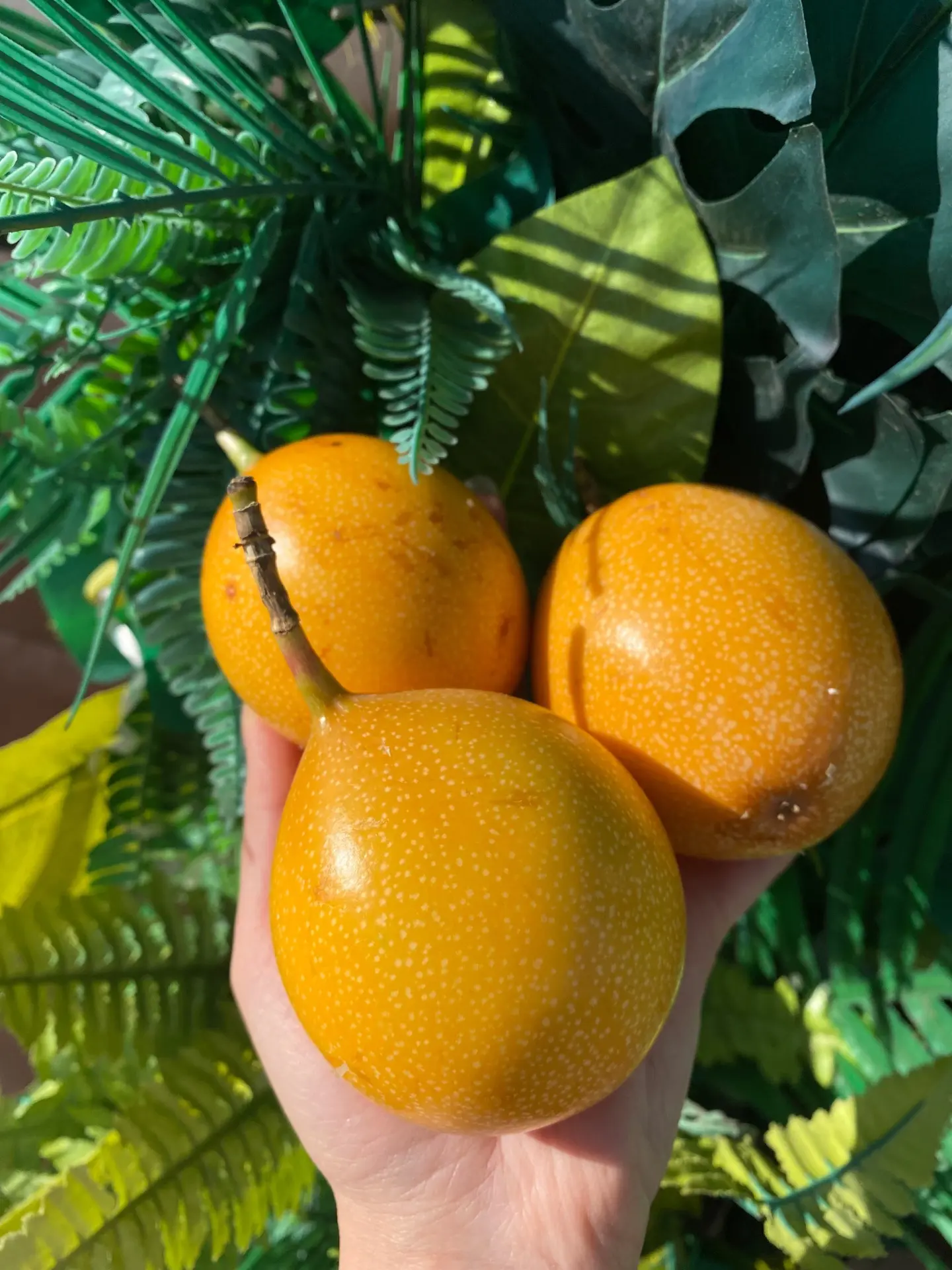 Гранадилла 🧡