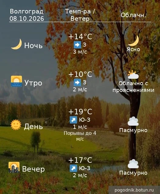 #погода