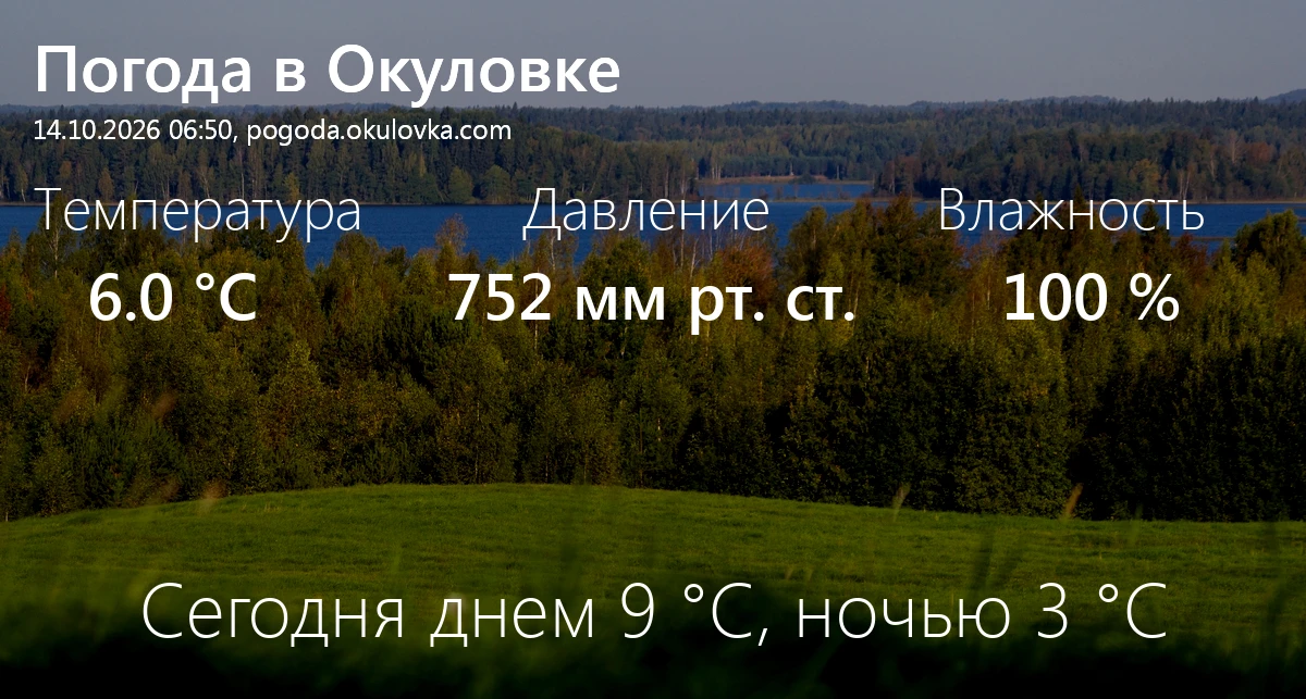Доброе утро! Сейчас в Окуловке 6.0 °C, давление 752 мм.рт.ст., влажность 100%.