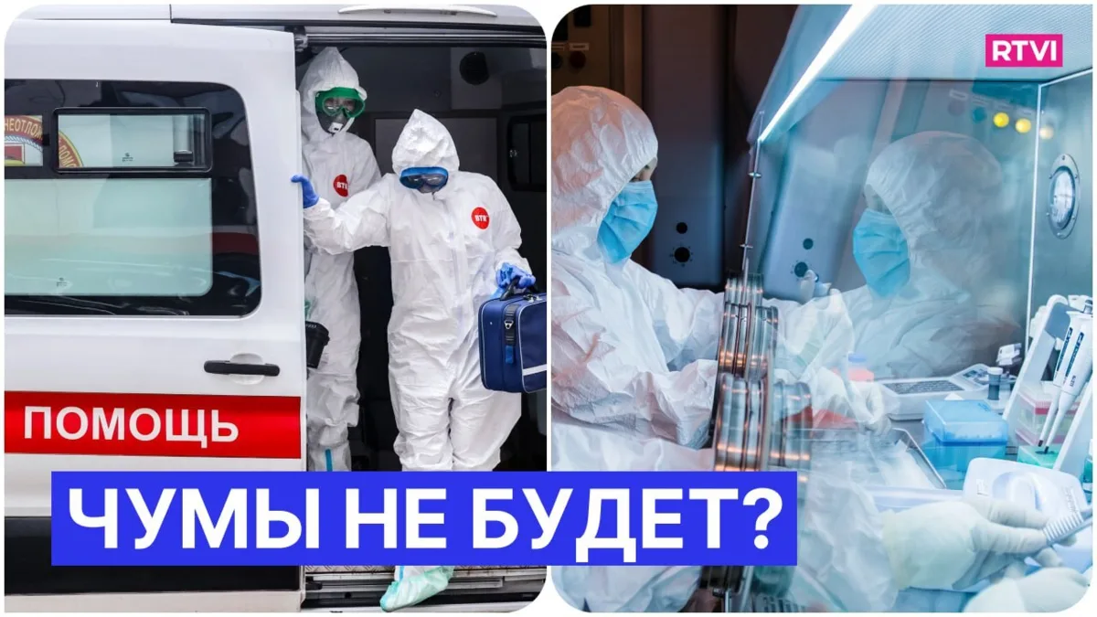 «Чума XXI века?» Как слухи о смерти лаборантки в Шелехове спровоцировали международный ...