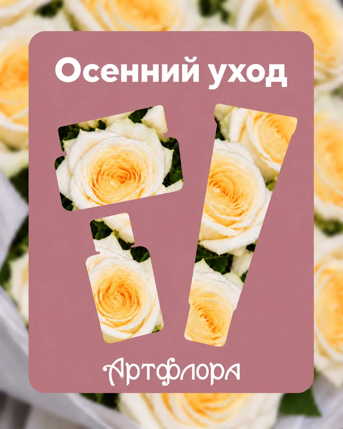 🍁 Осень — время укутаться. И не только в шарф. 🍁