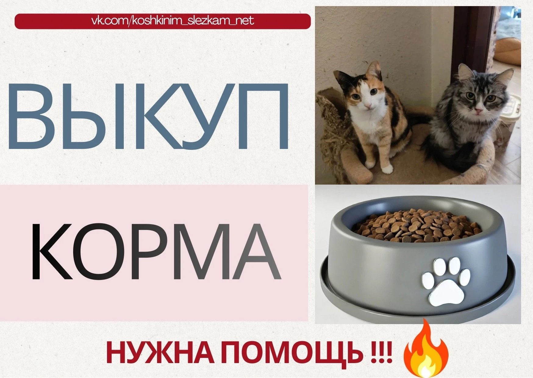 Друзья, мы сейчас вынуждены были влезть в кабалу, чтобы предотвратить голод . Эта мера ...