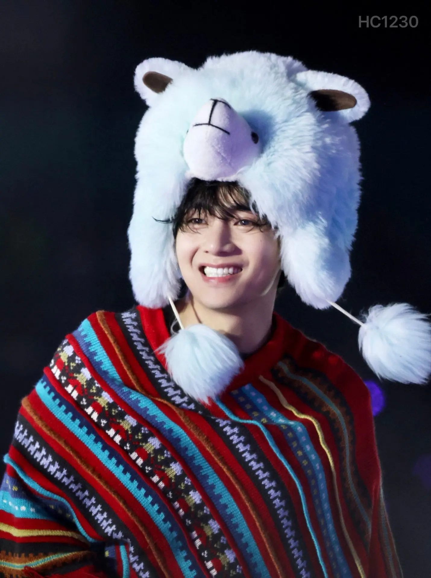 BTS WORLD TOUR ARIRANG