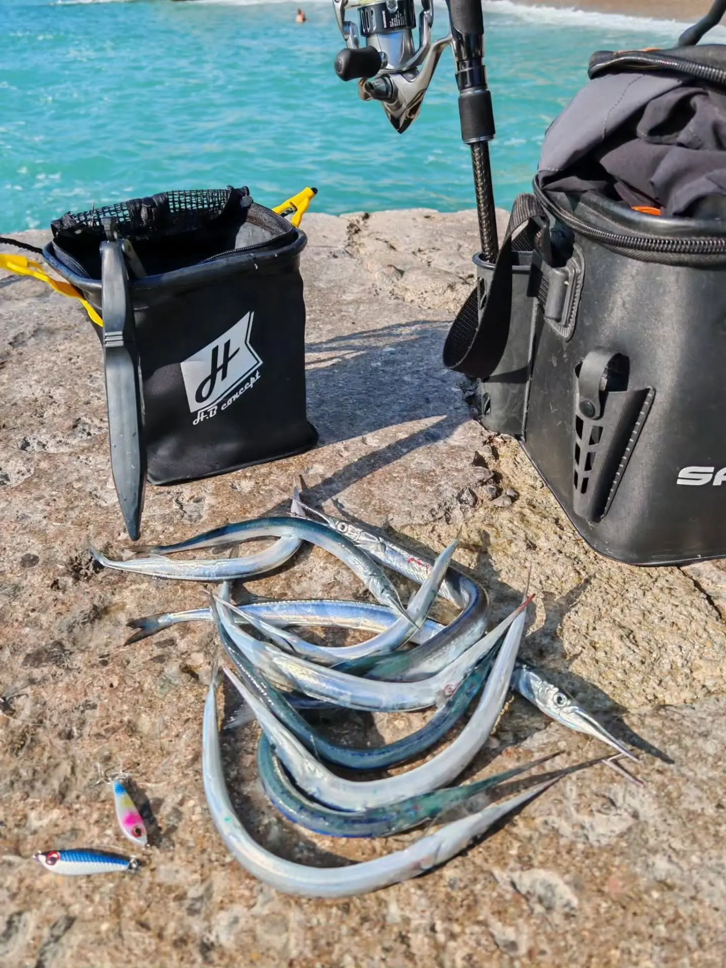 Сегодня, в такое же время, как и в прошлый раз,  был на своём месте.