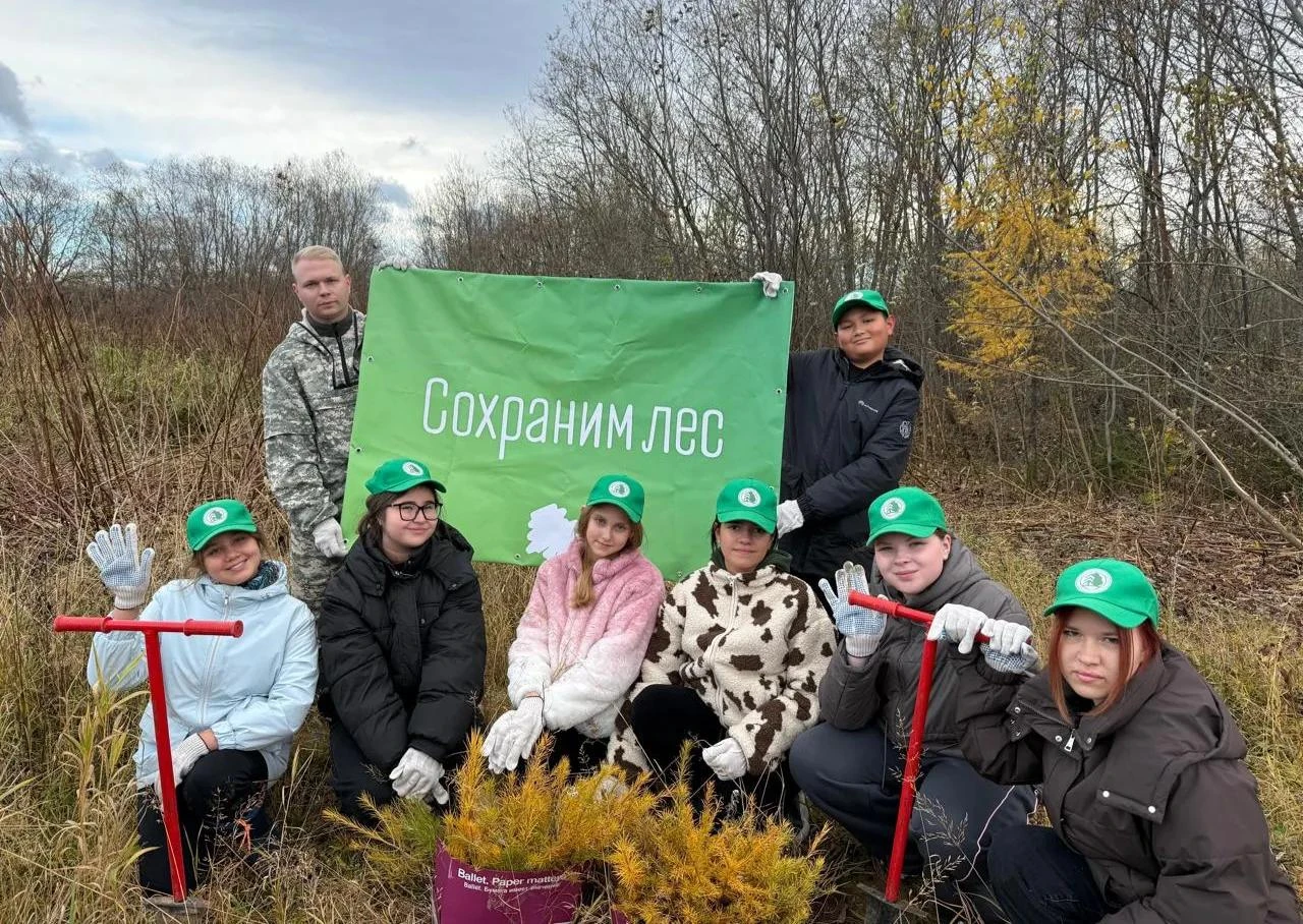 🌲 Юные экологи Поронайска высадили 100 лиственниц в рамках акции "Сохраним лес"