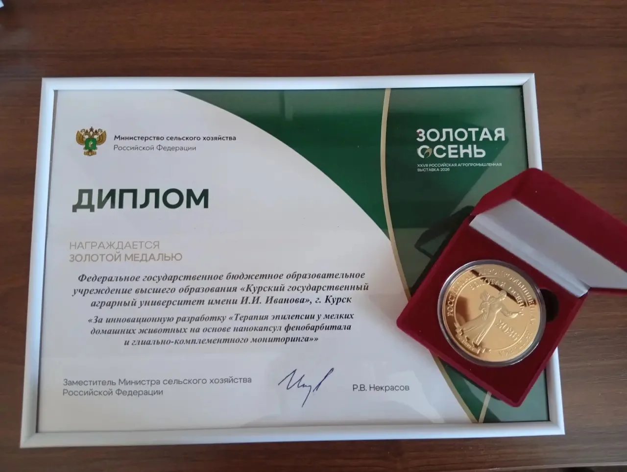 🏆🥇 2 золота, 3 серебра и бронза — первые результаты «Золотой осени — 2026» в копилке ...