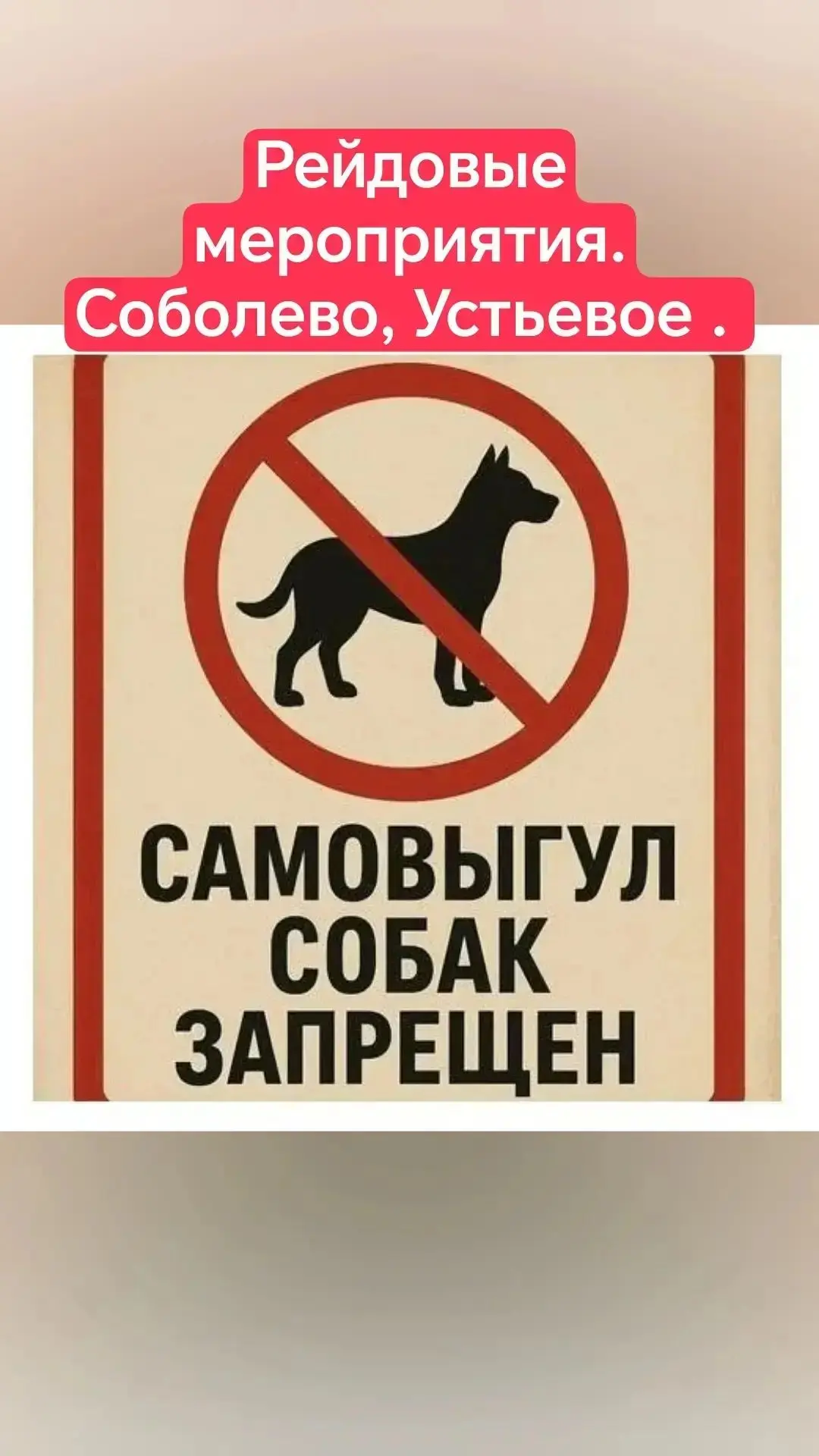 Уважаемые жители Соболевского округа! С завтрашнего дня начнутся рейдовые мероприятия п...