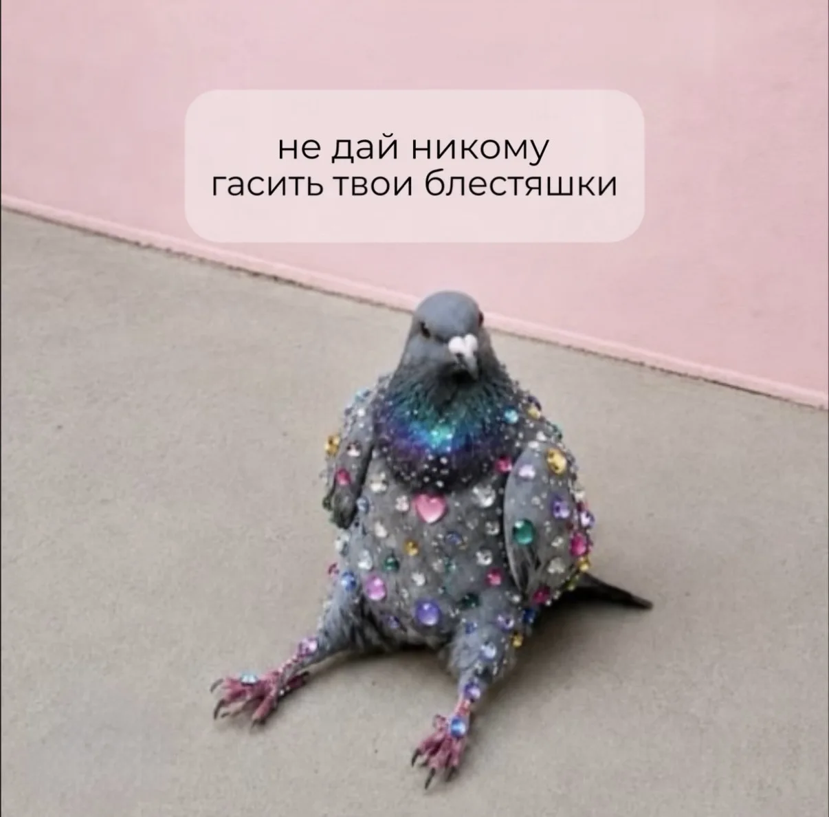 #мемы