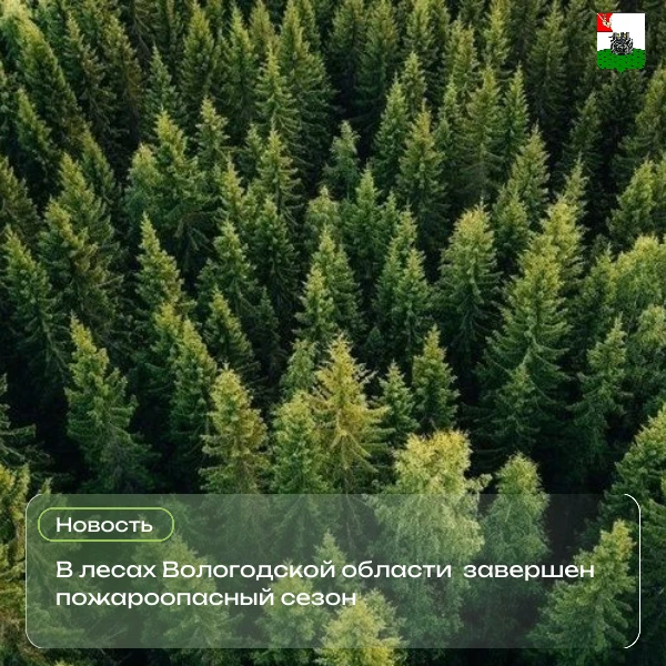 На Вологодчине завершили пожароопасный сезон с историческим минимумом лесных пожаров.