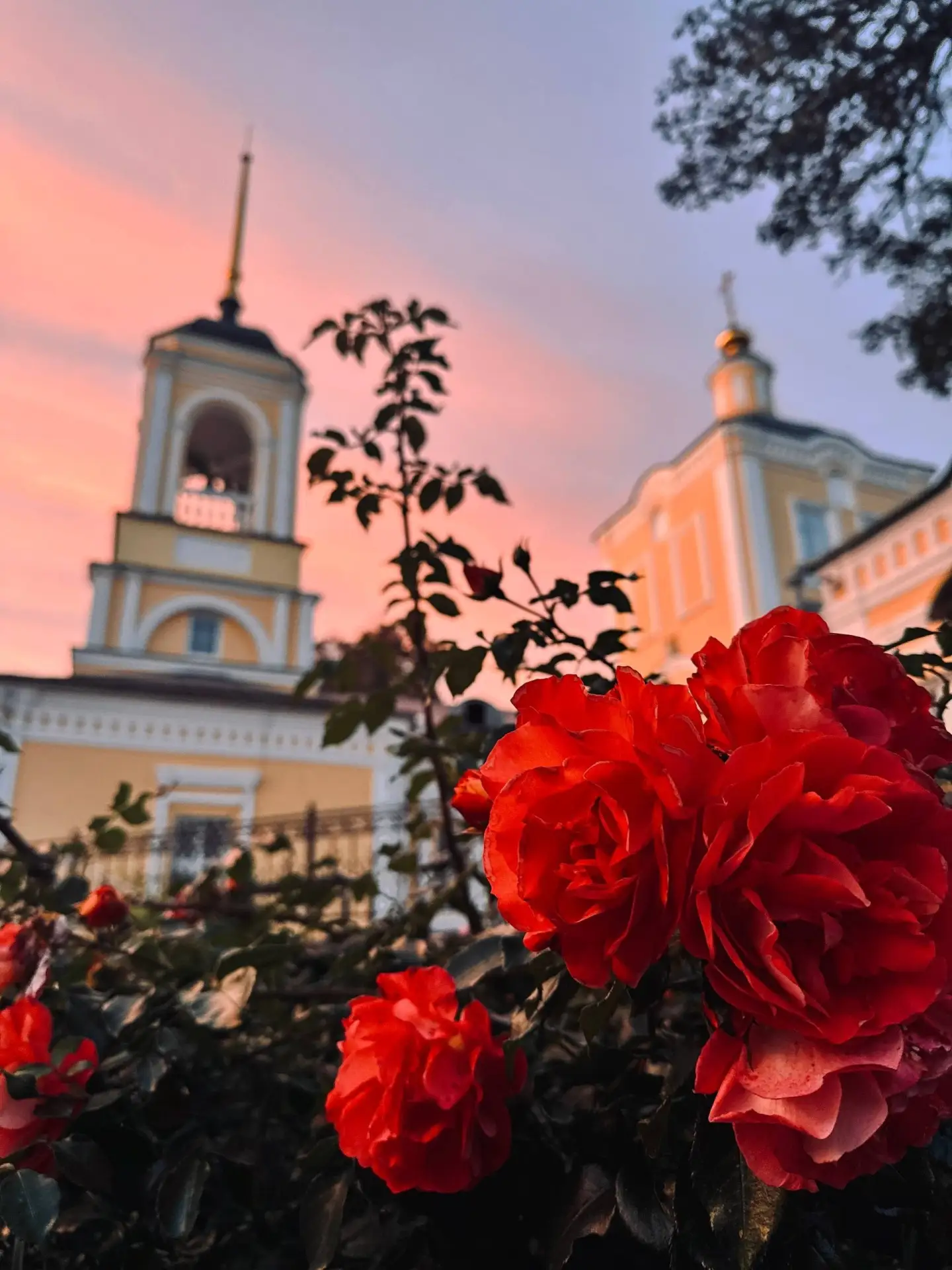Хорошего вечера ❤️