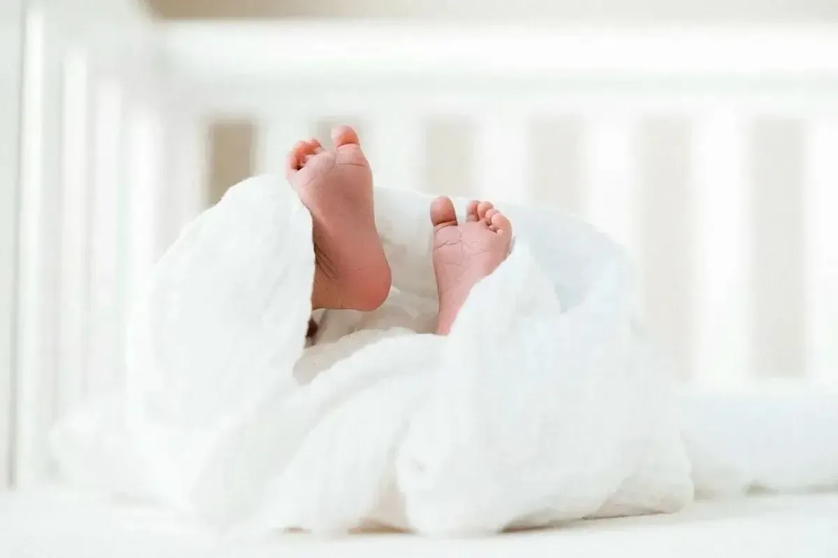 👨‍👩‍👧‍👦 Более 55 тысяч многодетных семей в Краснодарском крае воспользовались регио...