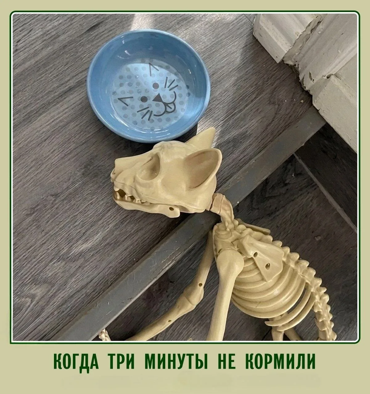 С утречком 🌄
