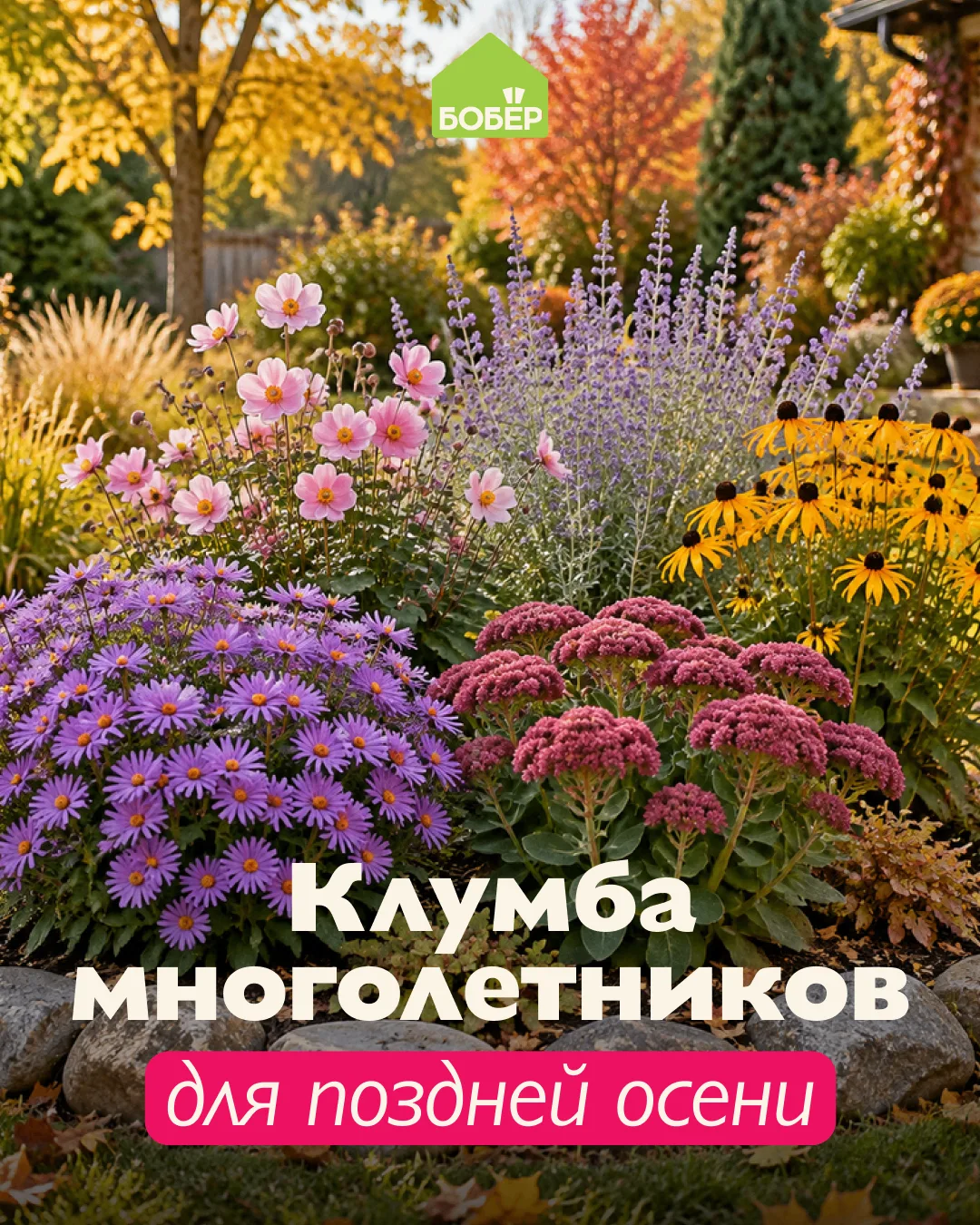 Эти многолетники сделают цветник изящным даже в конце осени 😍