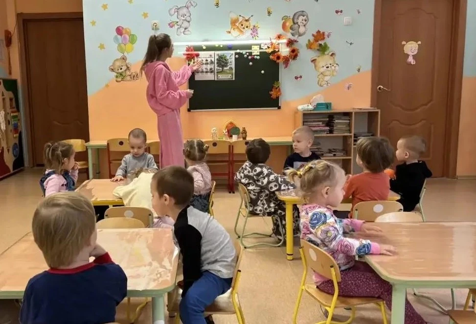 Что происходит с деревьями в осеннем лесу?