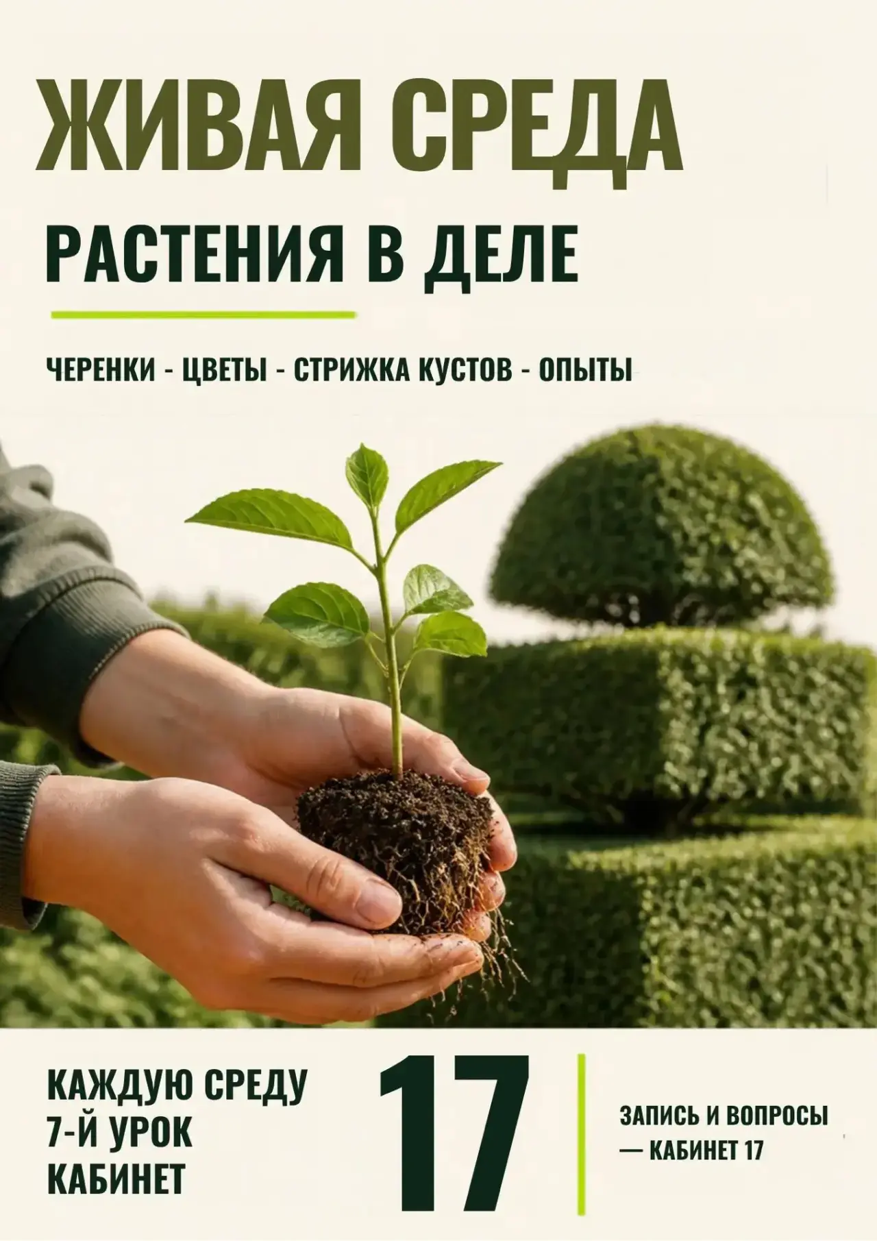🌱 Экостудия «Живая среда»