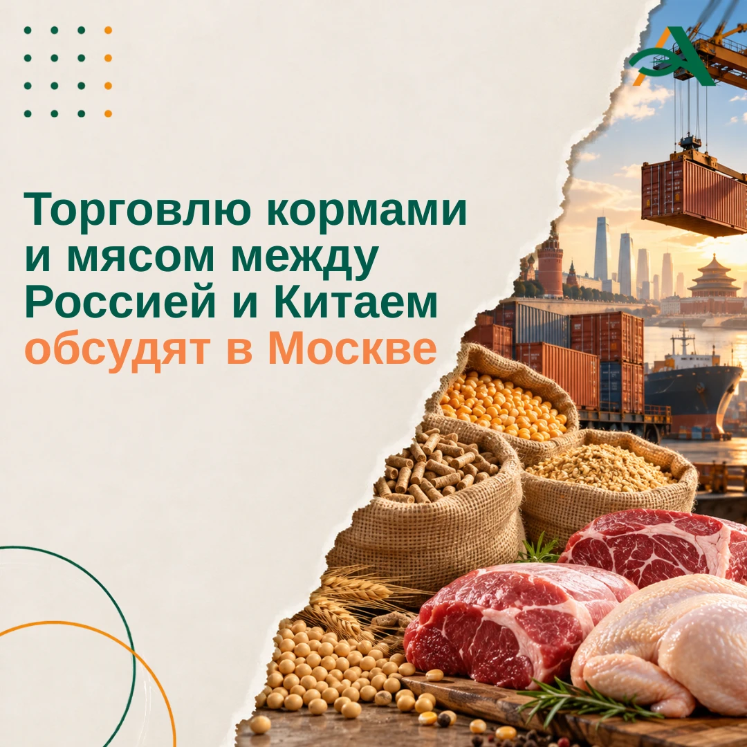 🧑‍💻 Форум РФ и КНР по торговле кормами и мясом