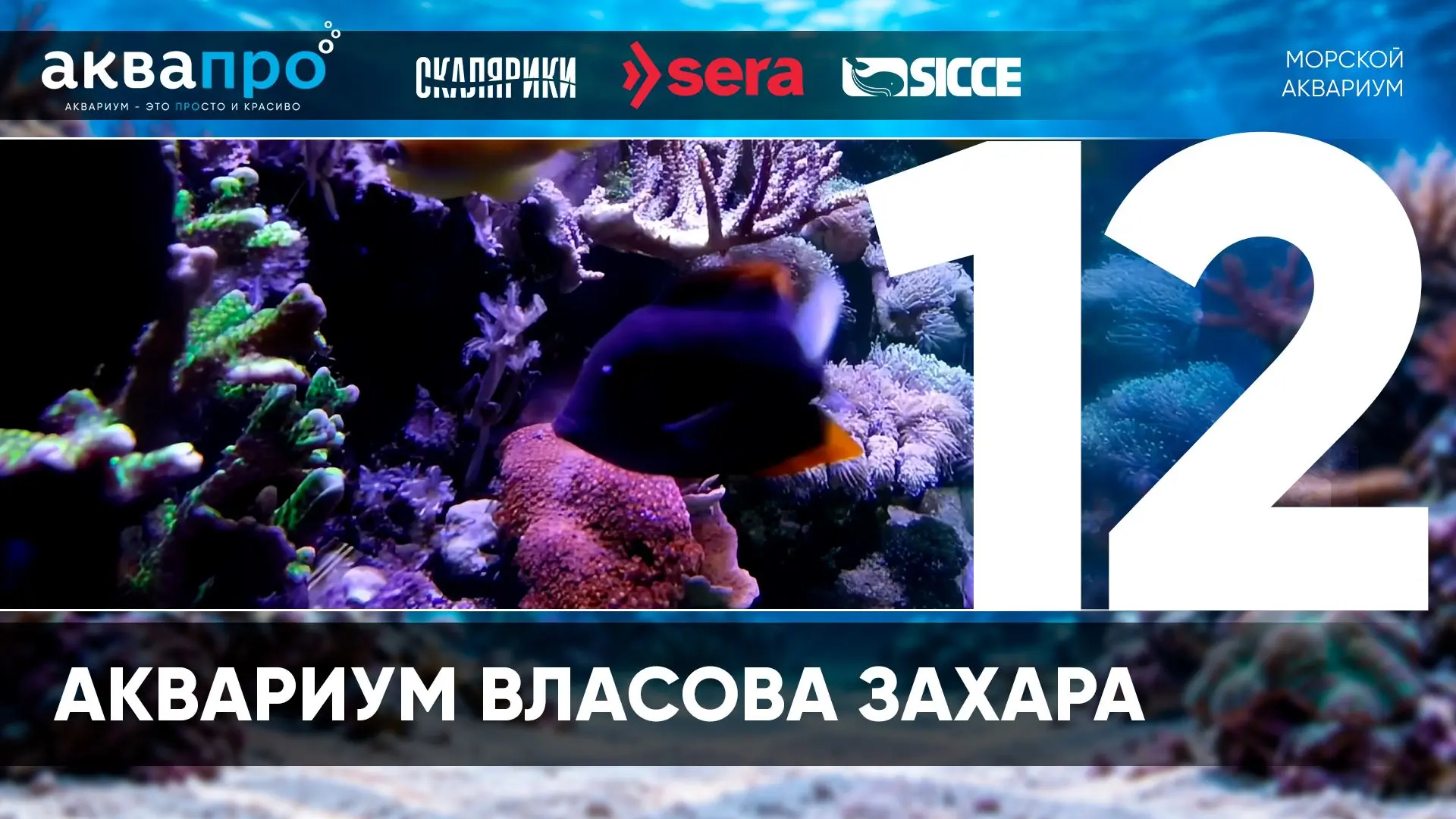 Фамилия Имя Отчество: Власов Захар Андреевич
