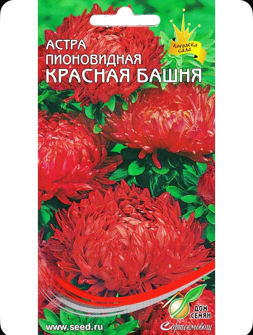 Астра пионовидная Красная башня, 85 семян
