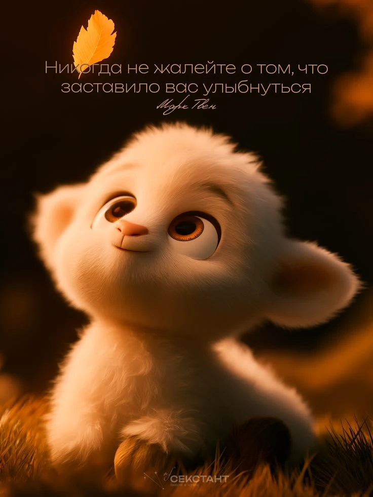 https://max.ru/se13912156_biz