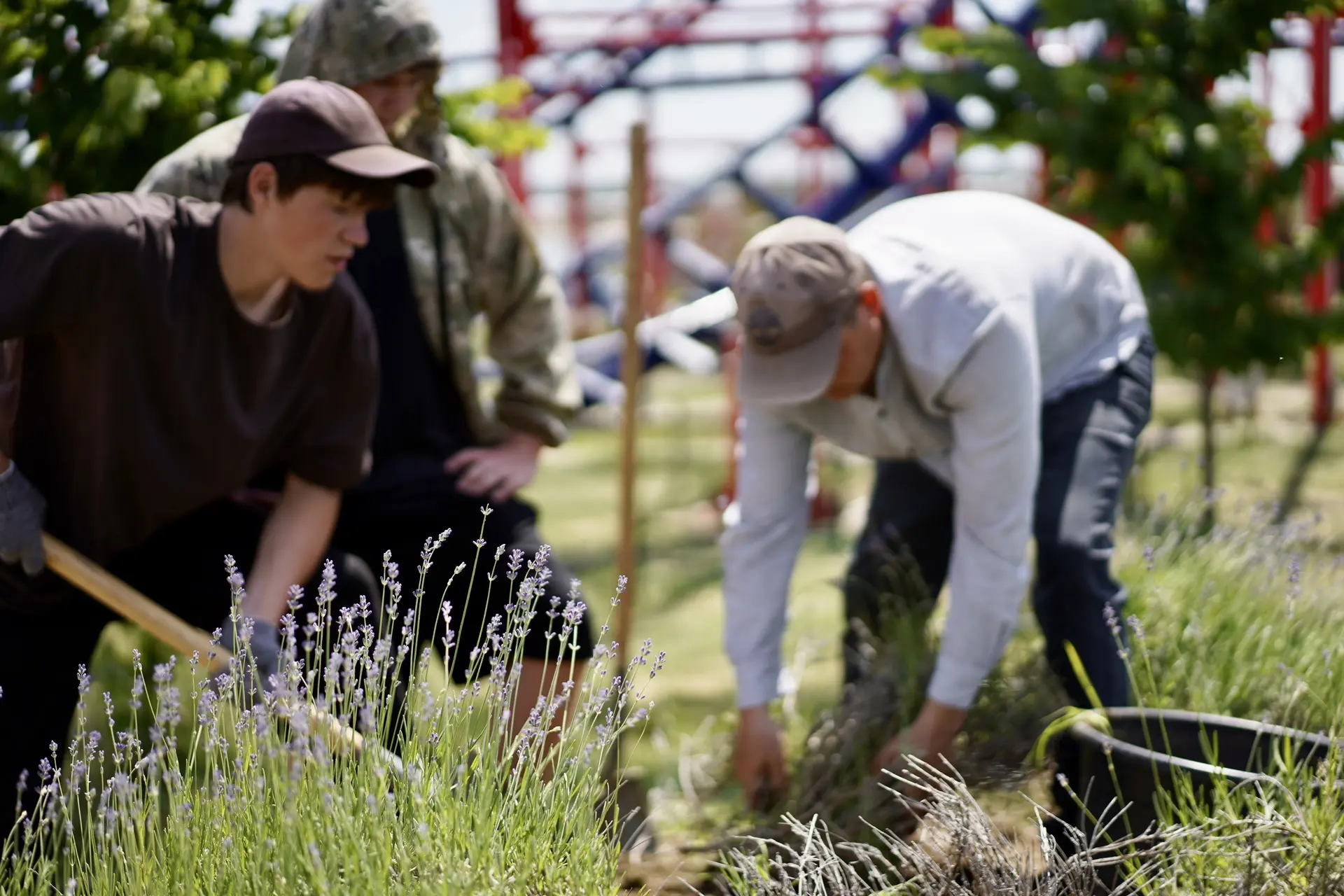 🌿 ПРОфессии в парке: служба благоустройства