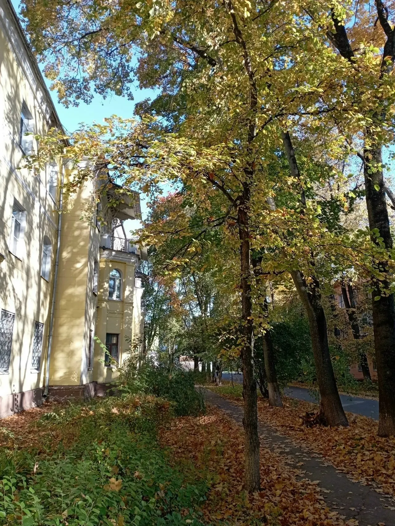 Немного осенней атмосферы из поселка Вуги😍