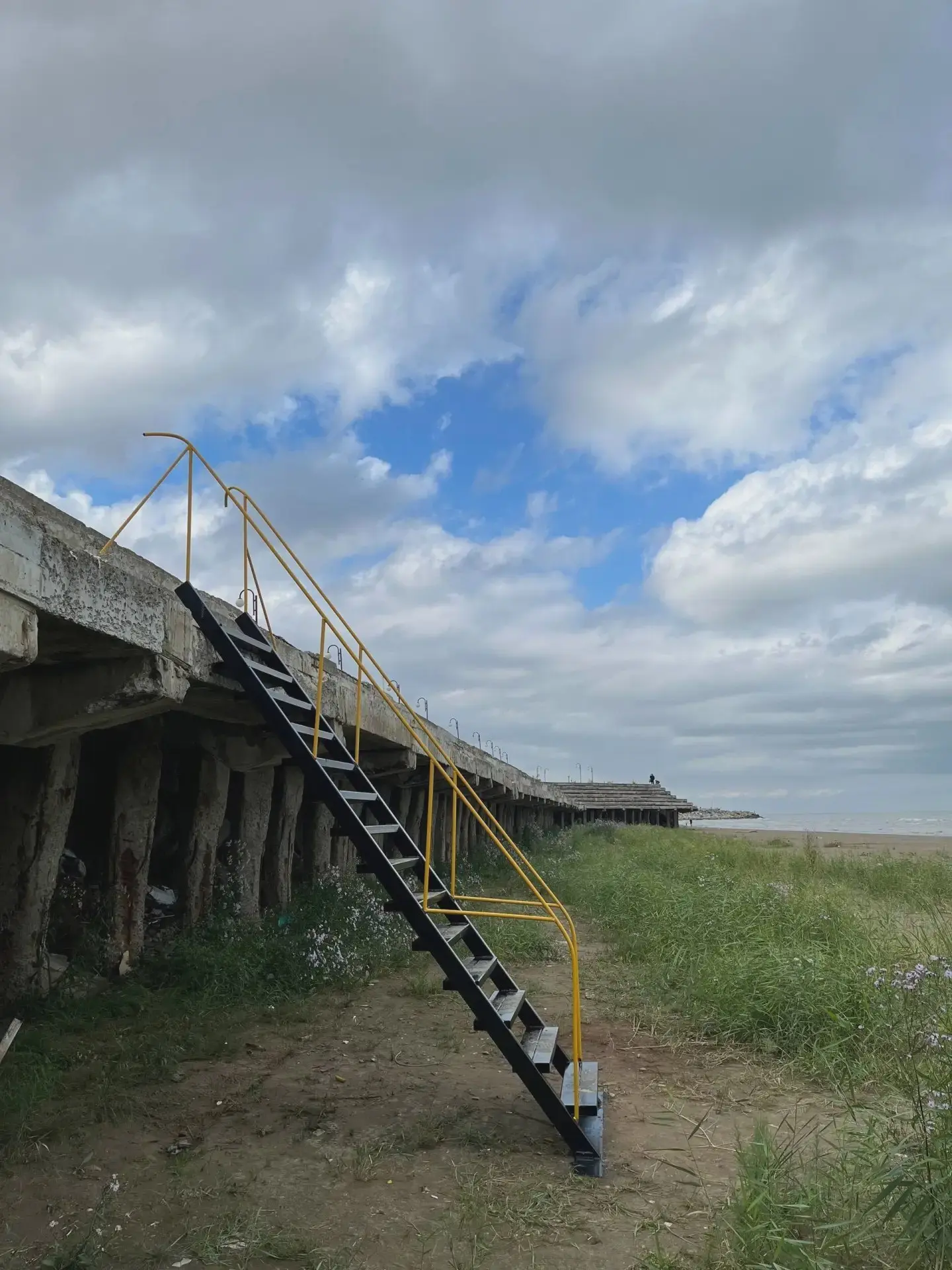 На пляже появились лестницы