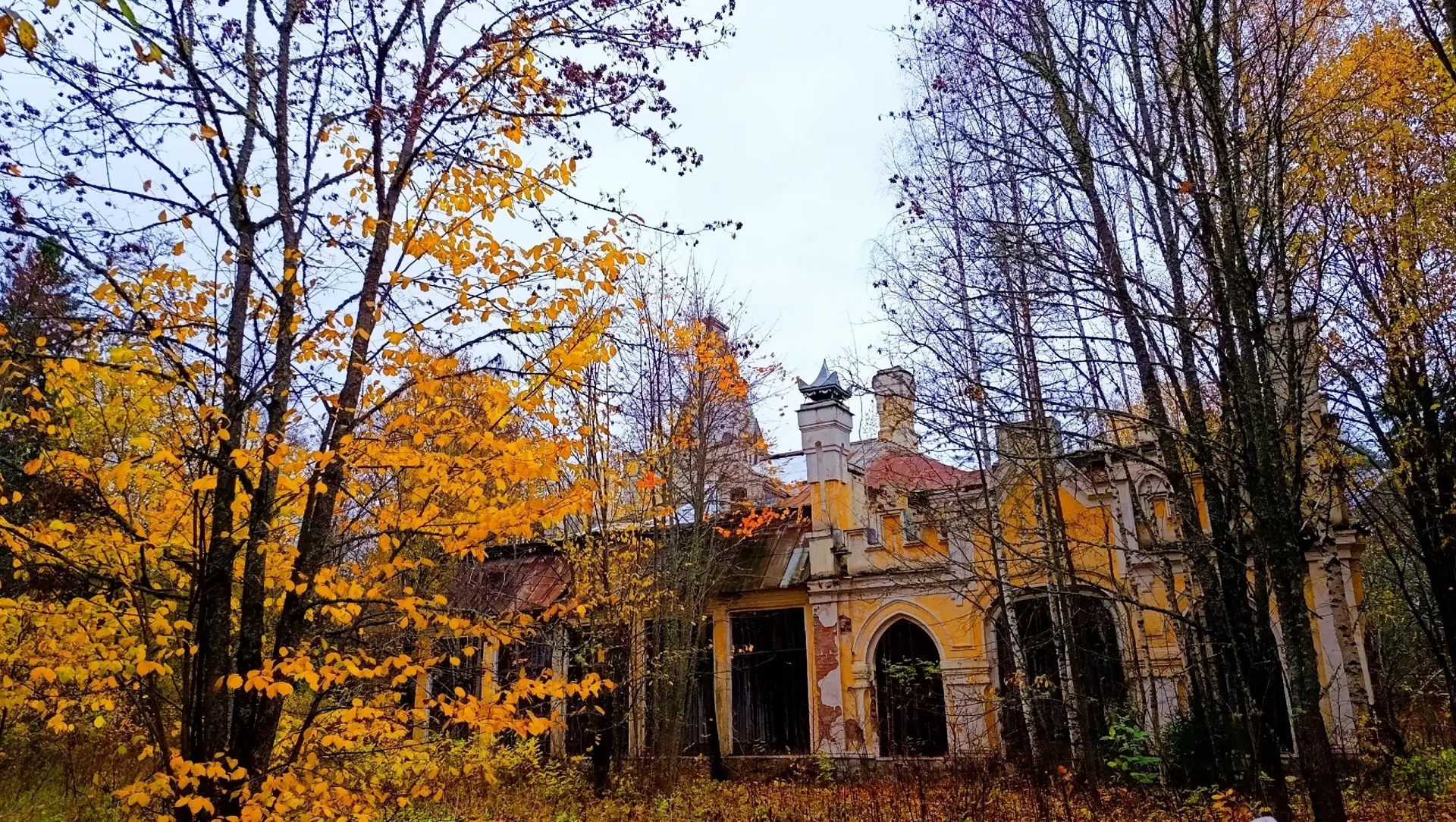 Прекрасная осенняя пора 🍁