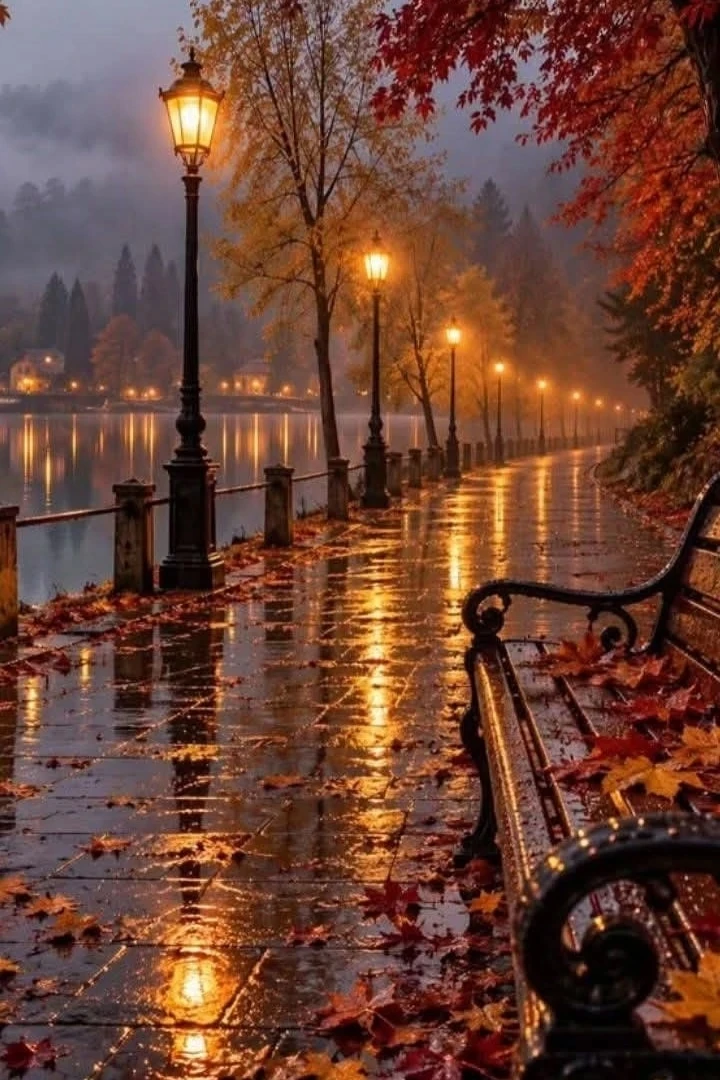 Иногда нужно просто отпустить прожитый день, оставив в сердце только хорошее.