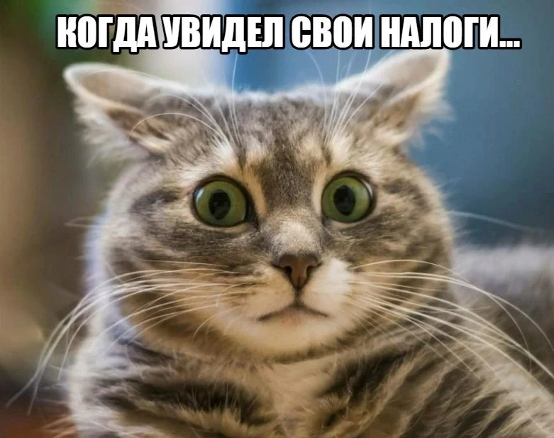 🤯Банкам разрешат списывать налоги с процентов вкладчиков.