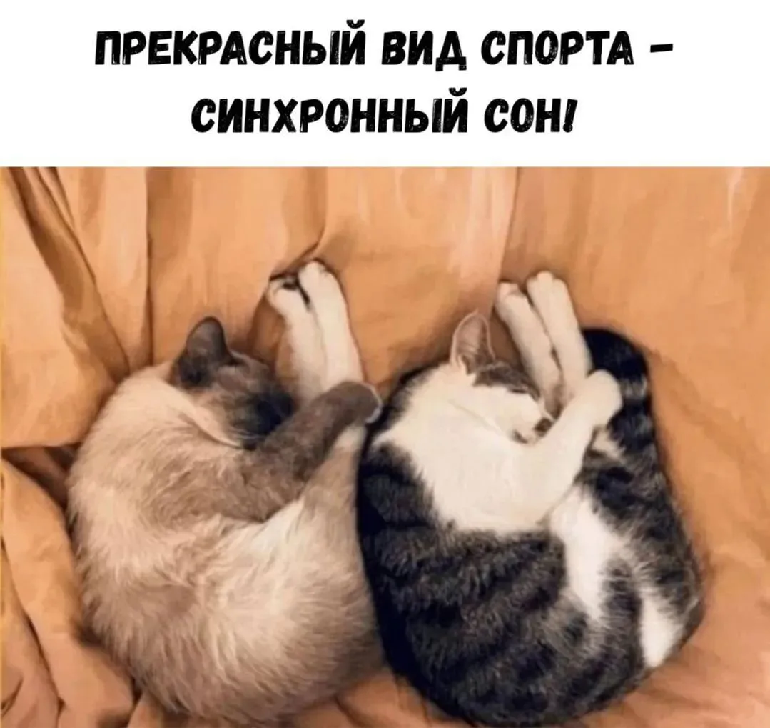 🔈 Подписаться 👈