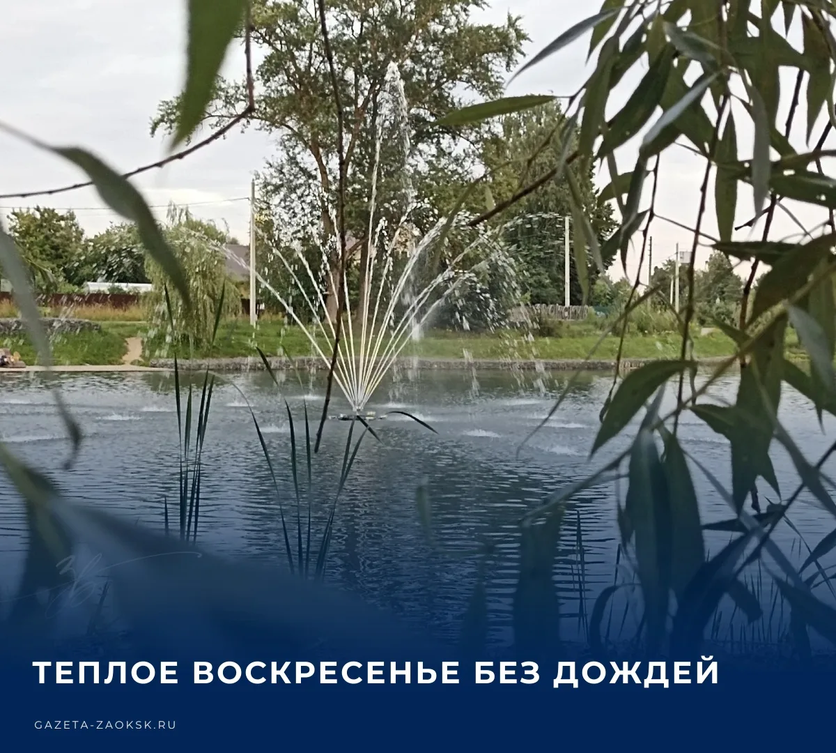 🌤️ По данным Гидрометцентра России, в воскресенье, 11 октября, в Заокском районе ожида...