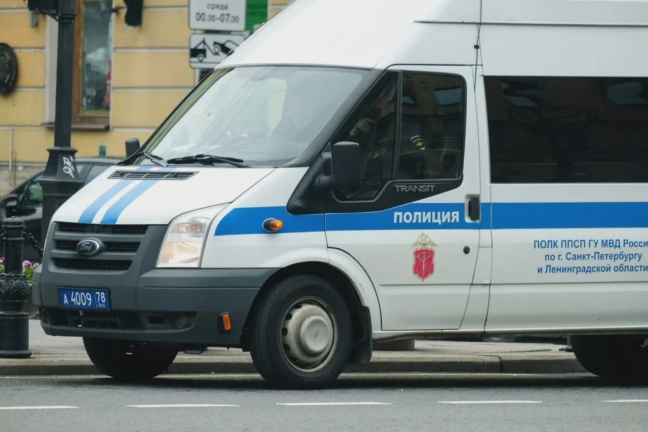 В Пушкине задержали четверых подозреваемых