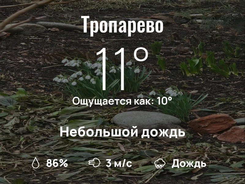 Что с погодой в Тропарево?