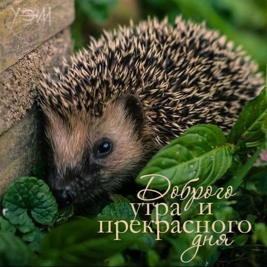 КРАСИВЫЕ ОТКРЫТКИ ТУТ💖