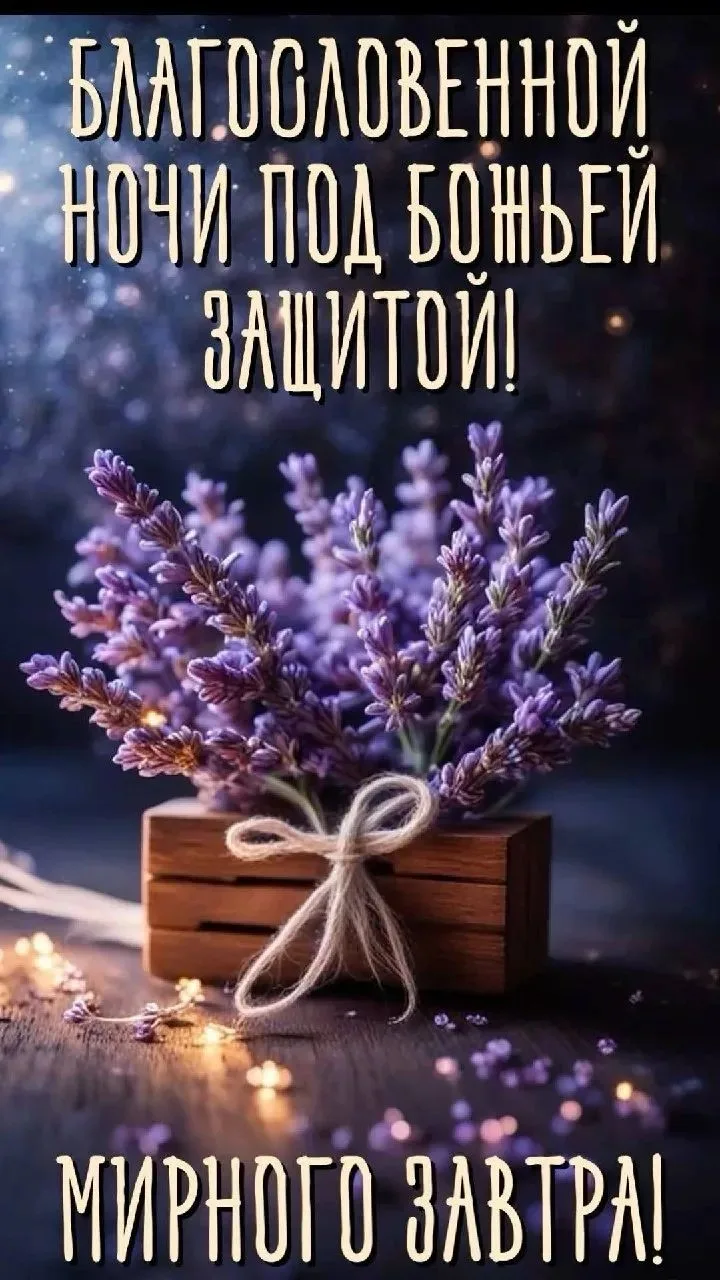 Спокойной ночи друзья 🕊Пусть всё будет хорошо у всех🙏