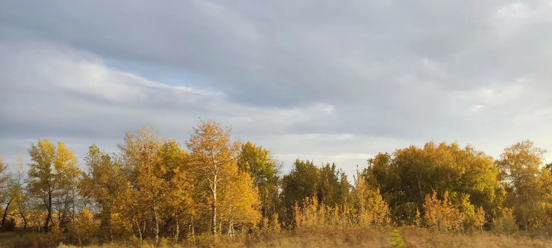 🍂🍁🍂В багряном бархатном кафтане октябрь гуляет в Оренбуржье