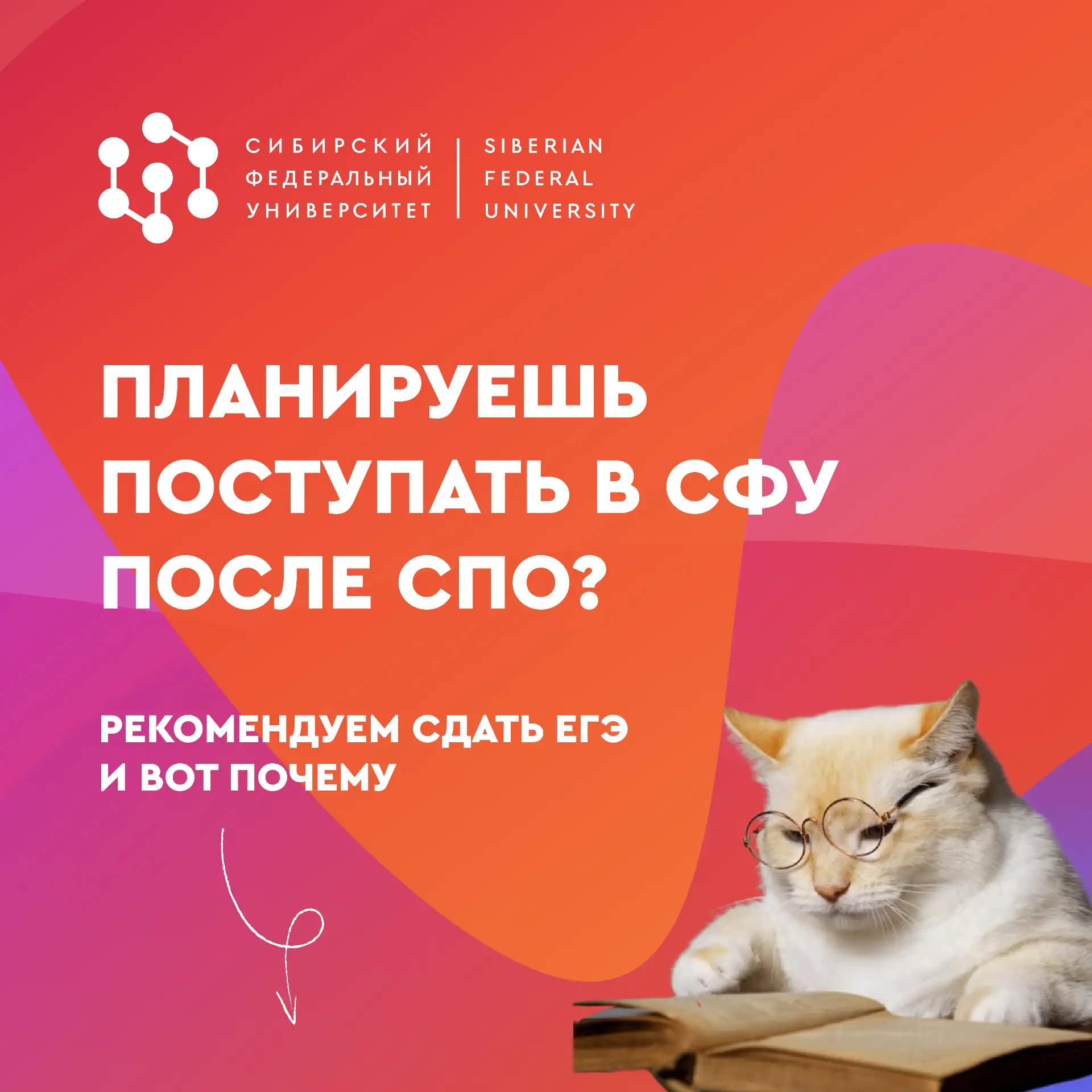 Есть ли жизнь после СПО без ЕГЭ?